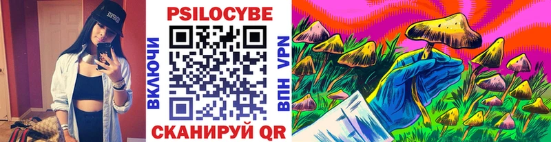 Галлюциногенные грибы Psilocybe Дудинка